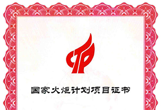 火炬计划项目