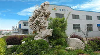 公司景观