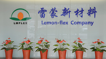 公司景观